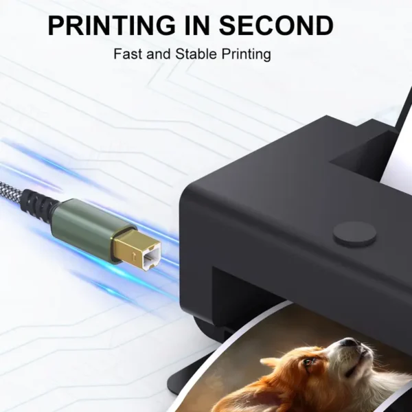 61f2b8a3-9fe1-4d75-bd7a-8881088dfcd0 61f2b8a3-9fe1-4d75-bd7a-8881088dfcd0